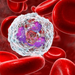 Stärkung des Immunsystems